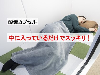 もみの樹の写真