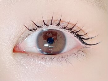 ダブリューアイラッシュ 中野(W.eyelash)/フラットラッシュ