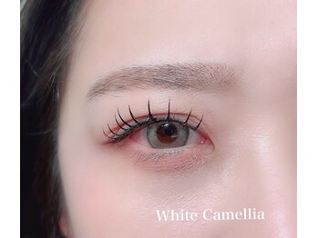ホワイトカメリア 上本町店(White Camellia)/マツエクサロン/LEDマツエク