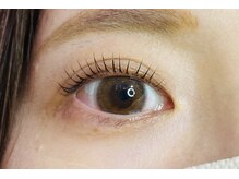 ペルシャ(Persian)/お客様デザイン（担当:宮井）