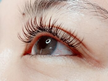 ウルカ アイラッシュ(uruka EYELASH)/フラットラッシュブラウン 160本