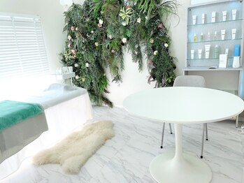 サロンエメ(salon aimer)の写真/【クリスティーナ正規取り扱い店】お客様のお肌に合った施術をご提案♪はりツヤのある陶器肌へ導きます◎