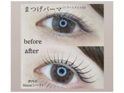 シーナ(Shiina)の写真
