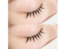 フーフロー(Fooflow)/フラットラッシュ120本