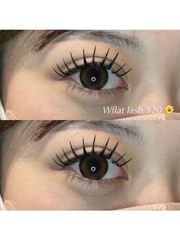 ラブリエ(La Briller)/ダブルフラット120束