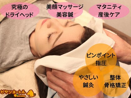 ビヤンネートルの写真