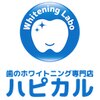 ハピカルのお店ロゴ