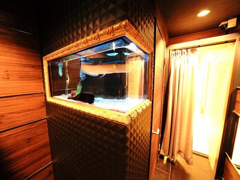 ラックス ワン(LUX ONE )/【サロン】