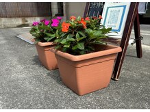 けやき接骨院/入口にはいつもお花があります♪