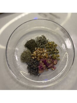 ヴィヴアルファ(VIV’Alpha)/おかま直伝よもぎ蒸し