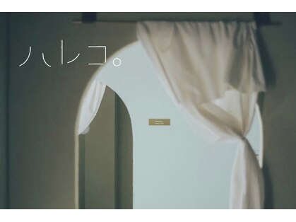 ハレコ。の写真