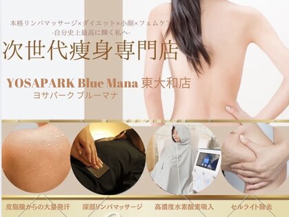 ヨサパーク ブルーマナ 東大和店(YOSA PARK Blue Mana)の写真