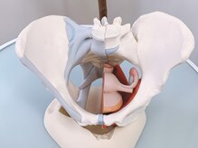 骨格美容サロン/骨盤矯正/女性のお悩みなければ