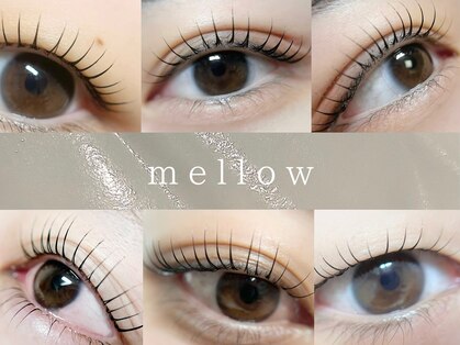 メロー(mellow)の写真