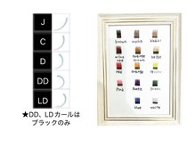 ウィンク(Wink)の雰囲気(DD/LDは下がりまつげやまぶたが重めの方に♪カラーエク2色混ぜOK)