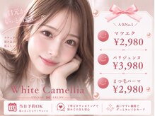 ホワイトカメリア 難波心斎橋店(WhiteCamellia)