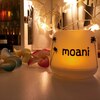 プライベートサロン モアニ(moani)のお店ロゴ