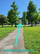 アンドピースセラピー(& P's Therapy)/11