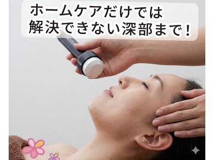 オリーブ(Olive)の写真