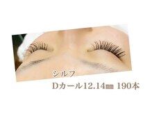 シルフ 石橋店(Sylph)/Dカール190本