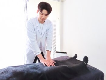 リュクス 恵比寿 代官山(LUXE)/施術風景【美容鍼/代官山/東京】