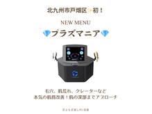 美楽の雰囲気(プラズマニア)