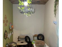 ミモザ(MIMOZA)/人気沸騰中！モリンガ蒸し