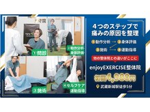 エンジョイエクササイズ整体院 武蔵新城(enjoyEXERCISE整体院)の雰囲気(国家資格保有者が身体の分析を丁寧に行い原因を見極めます。)