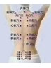 【首肩こり・腰痛ケア】全身本格整体+漢方アロマ温熱 90分¥8800