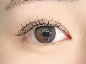 ネリネ 天神(nerine)/まつ毛パーマ/ラッシュリフト