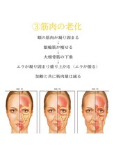 リノンクリニカル(LIINON clinical)/筋肉の老化とは？