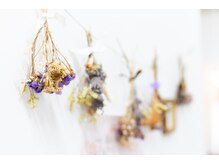 エヌスタイル(N-STYLE)/