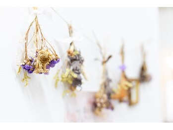 エヌスタイル(N-STYLE)/