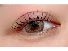 リノア(Linoa)/ラッシュリフト（立ち上げ）