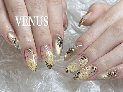 ヴィーナス(VENUS)の写真