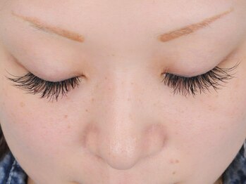 アヴニール(Avenir)/マツエク モデル