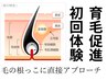 ＼若ハゲ必見／髪の毛の根っこに直接働きかける育毛♪カウンセリングのみも◎