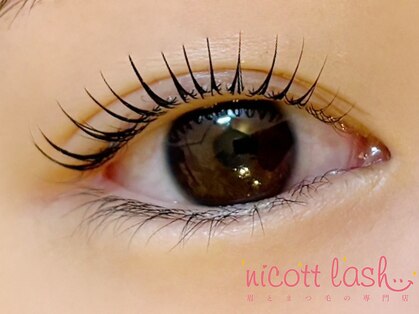 ニコットラッシュ 梅田店(nicott lash)の写真