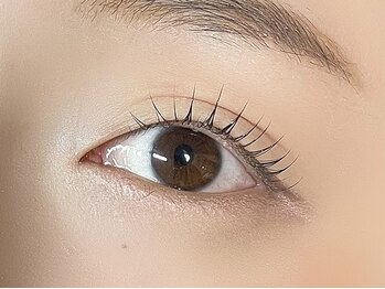 ミセルアイズ(misel eyes)/まつげパーマ|立ち上げカール