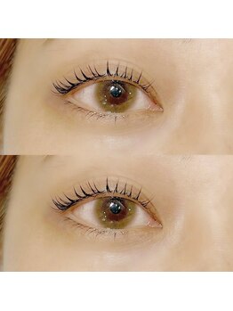 ネリネ(Nerine)/パーソナルラッシュリフト上下