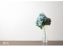 エクラ(eclat)/脱毛