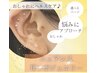 【3月末迄限定】ニュアンス耳ツボジュエリー両耳で10粒 ¥3,850→¥3,300