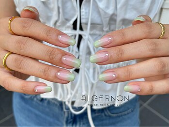 アルジャーノン リトリート(ALGERNON retreat)/カラーグラデーション