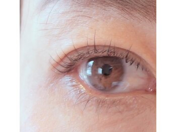 ポポのエステ(popoのエステ)/【まつげパーマ】