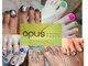 オーパス ノース(OPUS north)の写真