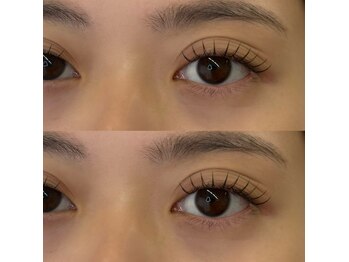 ベリーニ(Be.llini.)/フラットラッシュ120本