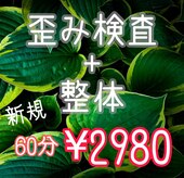 ヴィゴラス鍼灸接骨院(VIGOROUS鍼灸接骨院)