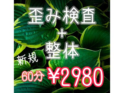 ヴィゴラス鍼灸接骨院(VIGOROUS鍼灸接骨院)の写真