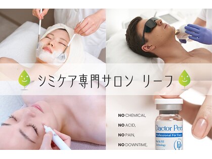 リーフの写真