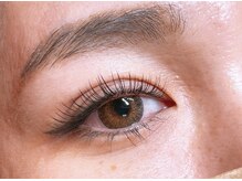 デイズ アイ ベクシー(Day`s eye Becsy)/フラットラッシュ160束